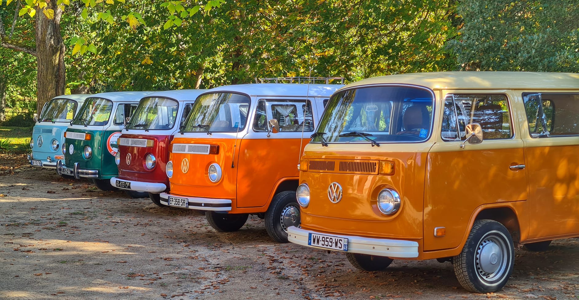 WhatsApp-Image-2022-01-18-at-13.04.56